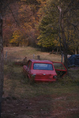 Old Car in the Woods