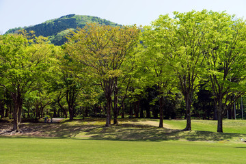 新緑のみずみずしい里山風景