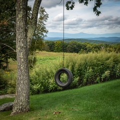 Old Tire Swing in Hudson Valley Landscape