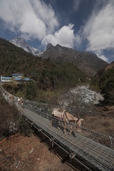 Road to Everest