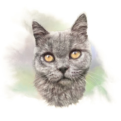 Realistic portrait of a cute cat on watercolor background. Drawing of a cat head with yellow eyes. Good for print T-shirt, card, pillow, banner. Art background for pet shop. Hand painted illustration.