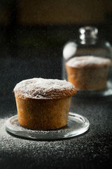 Delicious cupcake with powdered sugar