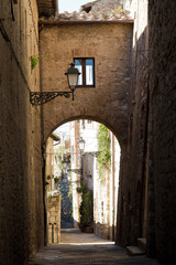 Alley of a hamlet / Vicolo di un borgo
Characteristic alley of a historic hamlet, with arch, street made with stones, and walls.