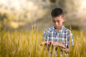 Naklejka na ściany i meble boy holding and reading book or holy bible in rice field.