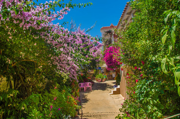 House decorated with flowers - Fiskardo village, Kefalonia Island, Greece – Mediterranean