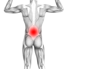 Conceptual back human anatomy with red hot spot inflammation articular joint pain or spine health care therapy or sport muscle concepts. 3D illustration man arthritis or bone sore osteoporosis disease