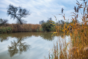 Canal on the lake in Burgenland Austria