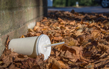 Discarded soda cup with straw lies in fallen leaves at the base of a brick wall in the autumn