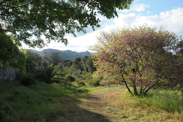 Jardín romántico en Sant Jeroni de Cotalba