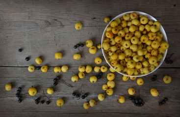 Still life with small yellow apples and ash on wooden table