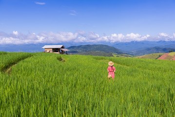 Young woman relaxing in green rice terraces on holiday at pabongpaing village, Mae-Jam Chiang mai, Thailand