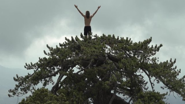 Yogi man with long hair does yoga pray on the top of pine tree at the mountain area of Cyprus, top of the world