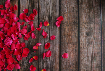 Red rose flower petal on wooden background 