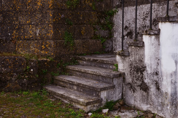 Obraz premium old stone stairs in the park