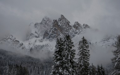 Grey day