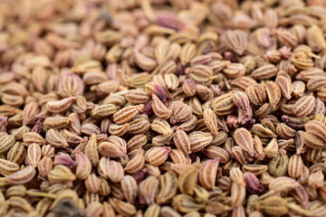 Ajwain Also Know as Ajowan, Caraway , macro , close up