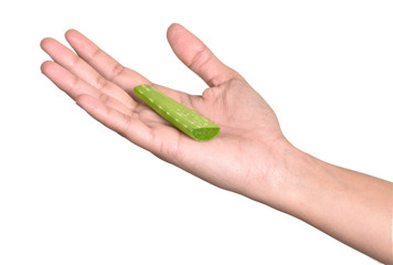 aloe vera in hand