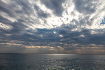 海　海岸　太平洋　サーファー