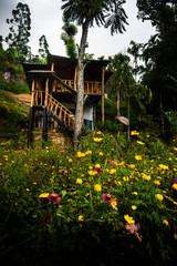 house with beautiful flower garden