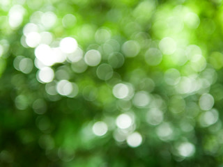 bright green bokeh for natural background design