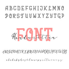 Two font. Vector hand drawn typeface. Brush painted letters. Handmade alphabet for your designs: logo, posters, wedding invitations, cards, etc.
