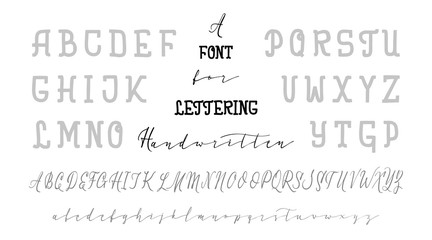 Two font. Vector hand drawn typeface. Brush painted letters. Handmade alphabet for your designs: logo, posters, wedding invitations, cards, etc.