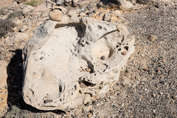 Closeup of a big stone with holes