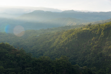 Fototapeta na wymiar Rainforest wild area and mountains with haze of mist with dawn light. Boyaca. Colombia