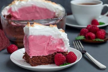 Piece of baked Alaska with chocolate sponge cake, raspberry ice cream and meringues, on white plate, horizontal