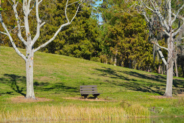 A bench over looking the cove on Lake Seminole in Seminole, Florida.