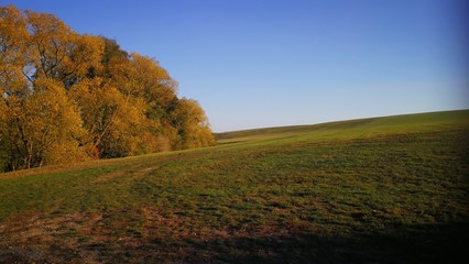 Mein Herbst 2018 14
