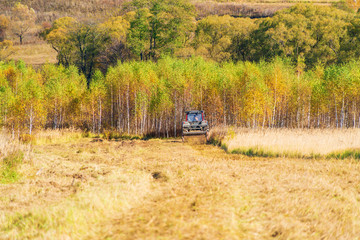 Fototapeta na wymiar Autumn field with a red tractor that mows dry grass, Russia