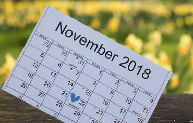Close-up: calendar of November 2018 with marked date of Thanksgiving Day is on background flowering...
