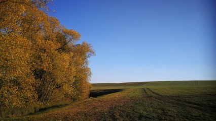 Mein Herbst 2018 16