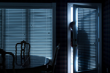 This photo illustrates a home break in at night through a back door from inside the residence. - 230636831