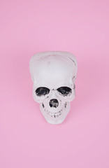 Skull on trendy pastel pink background.