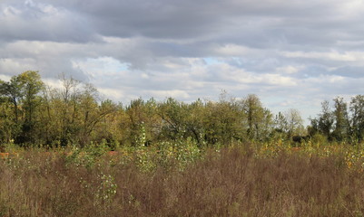Paesaggio Autunnale e cielo nuvoloso