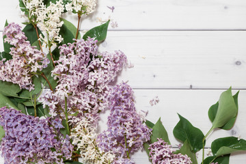 Beautiful white and violet lilac flowers branches on the horizontal white wooden background, mock up top flat view