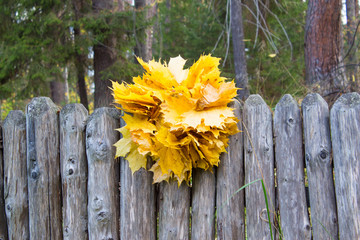 Wreath of yellow maple leaves on the wooden fence. Natural background. Autumn Concept.