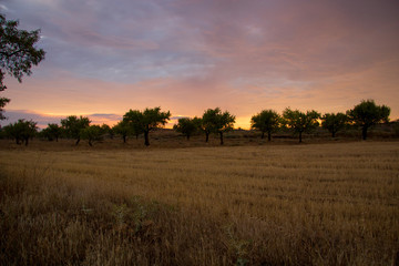 paisaje natural con cielo