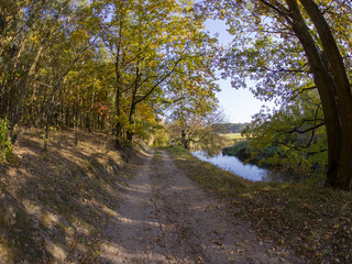 road in woods while spring to autumn transition with beautiful orange and red tones	