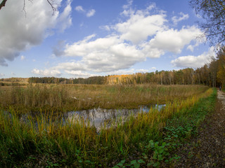 road in woods while spring to autumn transition with beautiful orange and red tones	