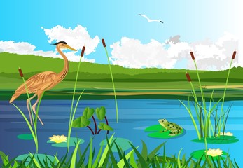 Red  heron on the lake, seagull flying,  lake, gragonflies, wetland landscape, vector wildlife