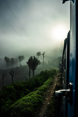 tea fields along railway line