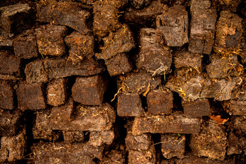 peat, closeup of a stock