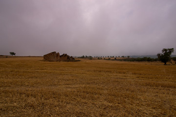 Fototapeta premium paisaje natural con cielo