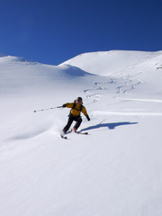 Naklejka na ściany i meble female backcountry skier enjoys a great powder snow descent in deep winter in the Swiss Alps