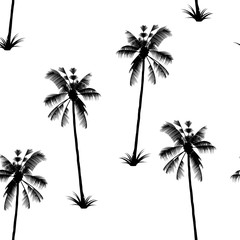 Fototapeta na wymiar The Palm pattern. Exotic tree. Tropical delight