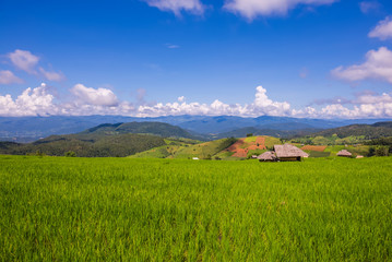 Small house and rice terraces field at pabongpaing village rice terraces Mae-Jam Chiang mai, Thailand