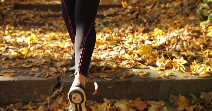 Female runner in an autumn park. Close-up of woman's legs in jogging suit and snickers running on the footsteps covered with fallen leaves in a park